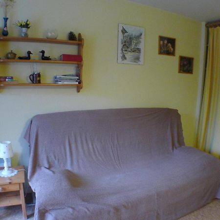 Studio Cosy Au Centre De Samoens Avec Parking Privatif - Fr-1-629-118 Bagian luar foto
